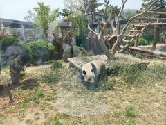 -大连森林动物园