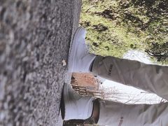 -贵阳市花溪国家城市湿地公园