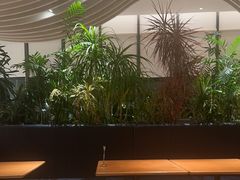 -Bco豆库(雨花客厅店)