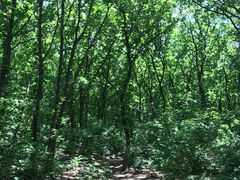 -沈阳辉山风景区