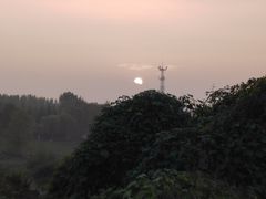 -洨河生态公园