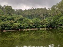 -水濂山森林公园