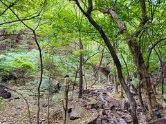 -苍岩山风景名胜区