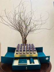 -尊尚柏丽美容SPA