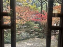 -中国茶叶博物馆(双峰馆区)
