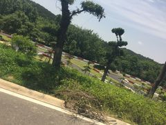 -黄陂区野村谷景区