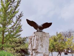 -北京鹫峰国家森林公园