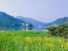 -新安江山水画廊风景区