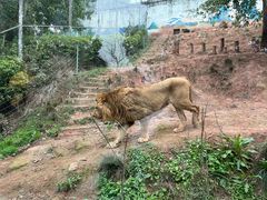 -乐和乐都主题乐园