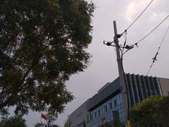 -李沧区图书馆(金液泉路馆)