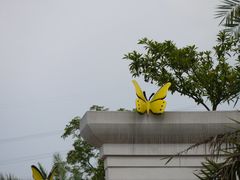 -美的鹭湖森林度假区
