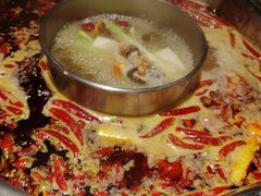-蜀九香火锅(九眼桥店)