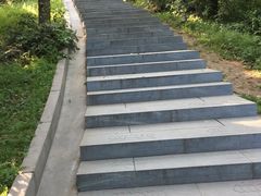 -冶父山国家森林公园