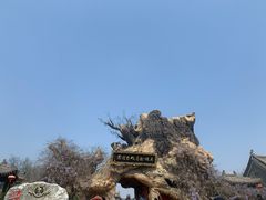 -大槐树寻根祭祖园