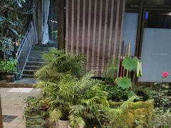 -先机泉水鸡汤(南山老君洞店)