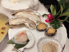 -汤城·料青山