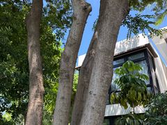 -天悦阁海景酒廊