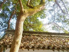 android_upload_pic-西湖茶墅