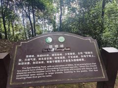 -缙云山景区