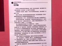 -上海外滩星空失恋减压馆(外滩旗舰馆)