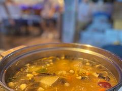 -千岛蚝高压锅生蚝·人参火锅(白云万达店)