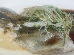 -蜀SHU·川菜