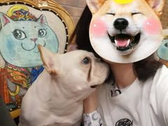 -more than meow吴止猫主题餐厅(承德 中船汇店)