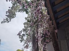 -深圳国际园林花卉博览园