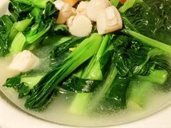 鲜贝柱浸农场菜心-小炳胜(北京路店)