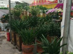 -秦美花卉(天朗·莱茵小城2期店)
