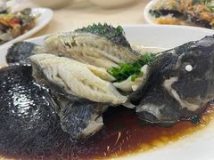 清蒸石斑鱼-庆余生平价生猛海鲜(海棠湾林旺夜市店)