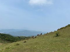 -大姆山草场