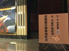 -武商摩尔影城(国广IMAX激光店)