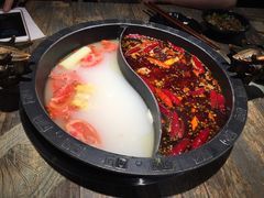 -销魂美蛙鱼头火锅(上海首店)