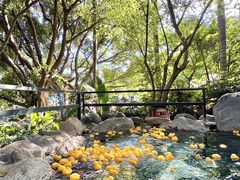 -湖泉半山温泉(湖泉生态园)