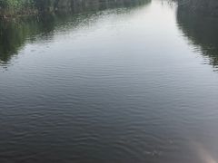-白洋淀景区