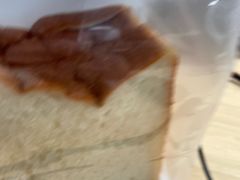 -TD66高山铁皮石斛养生茶饮
