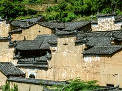 -杨家堂村