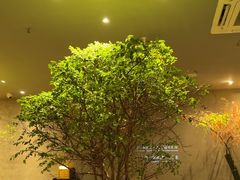 -森SPA·泰式按摩·精油Massage(宝安中心店)