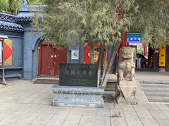 -张掖大佛寺景区