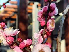 -静安雕塑公园