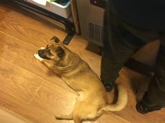 -小团圆糖水铺(襄阳南路店)