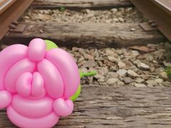 -武汉紫薇都市田园