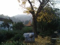 -雨花胜境