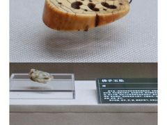 -重庆中国三峡博物馆(重庆博物馆)