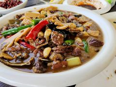 生态甲鱼-林间山庄