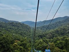 -野象谷景区