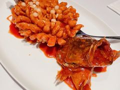松鼠桂鱼-大董(环贸iapm店)