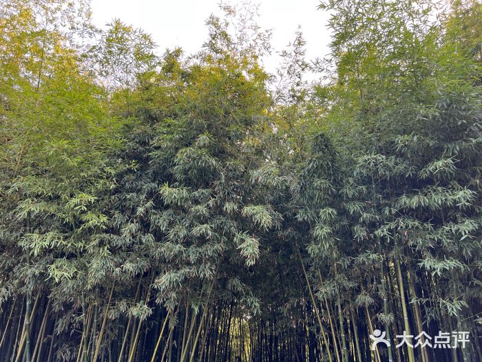 泰山风景名胜区-普照寺图片