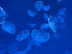 -多彩贵州城极地海洋世界